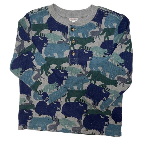 Hanna Andersson Other - Hanna Andersson Long Sleeve Cotton Henley Shirt Boys Animals Print Size 4